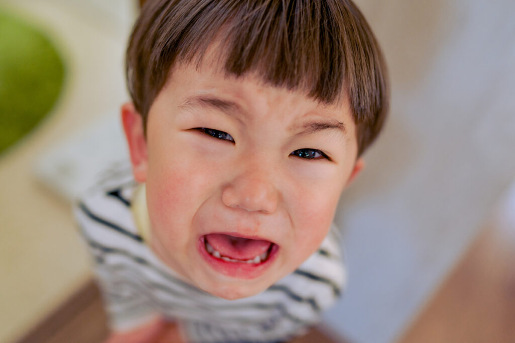 イヤイヤ期を迎えた男の子